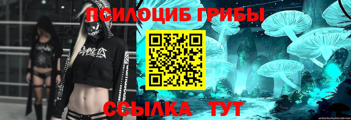 Галлюциногенные грибы Cubensis Пугачёв