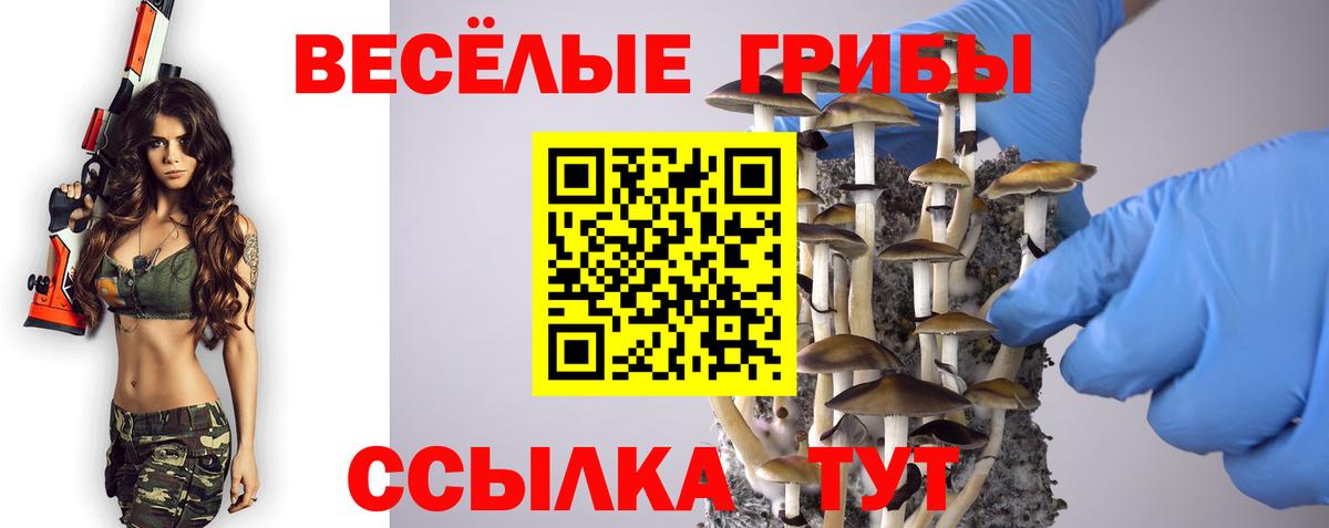 Пугачёв  Псилоцибиновые грибы GOLDEN TEACHER  Псилоцибиновые грибы Cubensis  Вход с VPN 